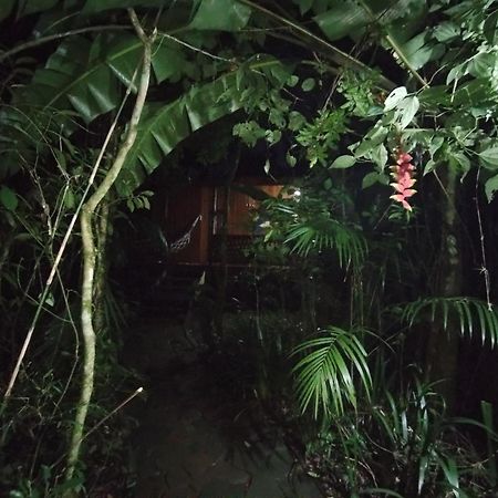 Yasi Yatere Reserva Agroecologica El Soberbio Exteriér fotografie