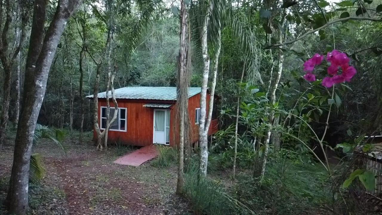 Yasi Yatere Reserva Agroecologica El Soberbio Exteriér fotografie