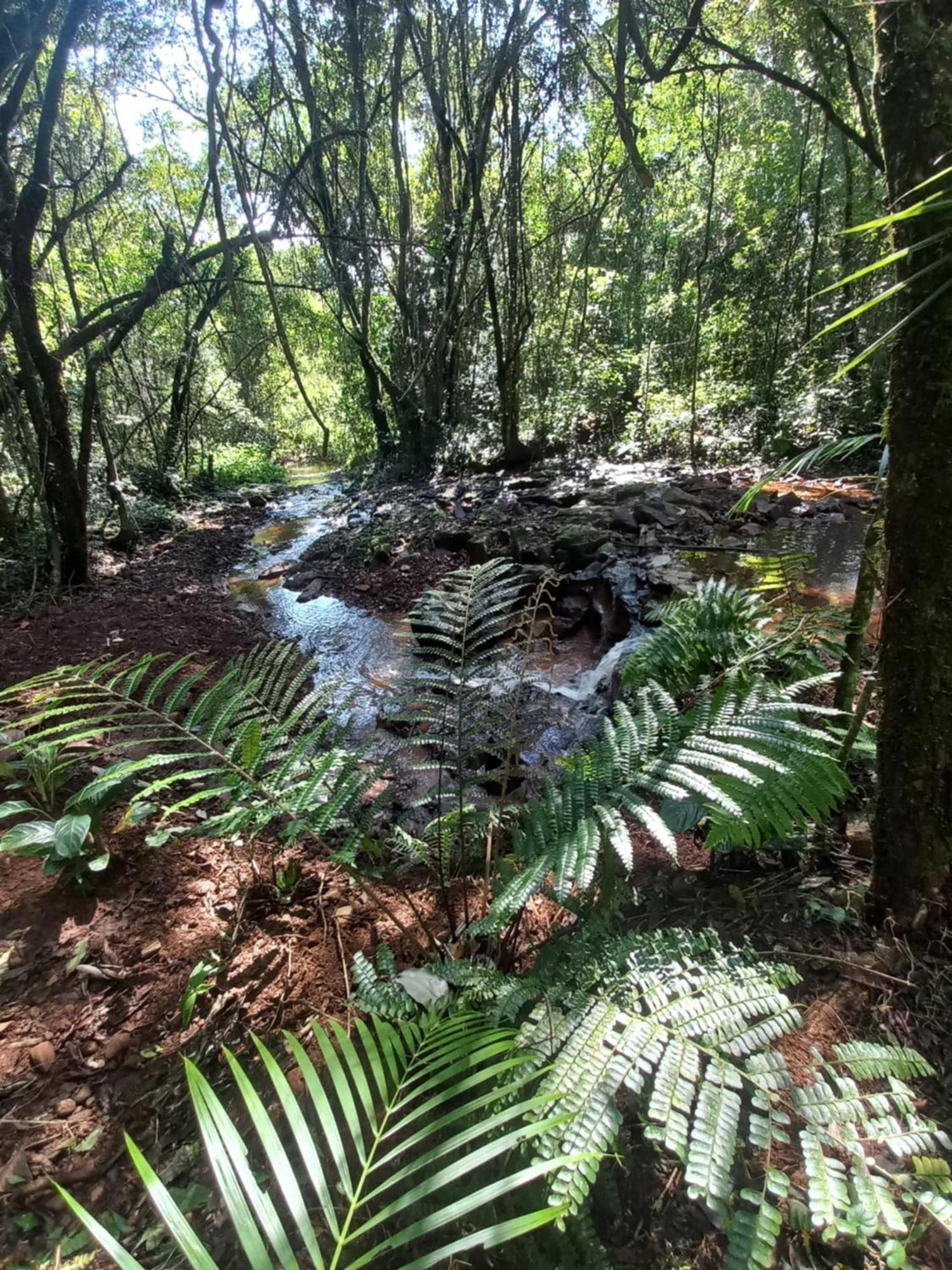 Yasi Yatere Reserva Agroecologica El Soberbio Exteriér fotografie