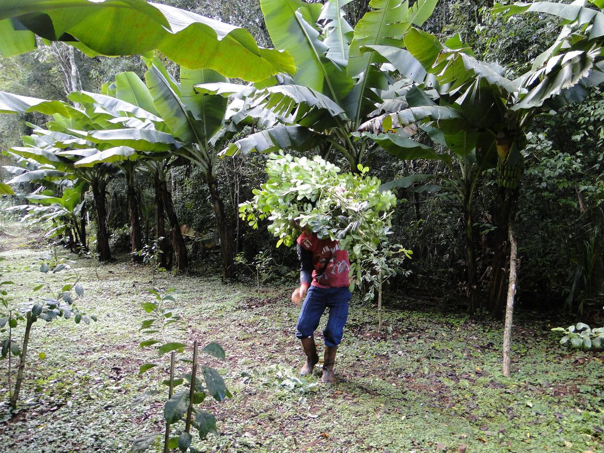 Yasi Yatere Reserva Agroecologica El Soberbio Exteriér fotografie