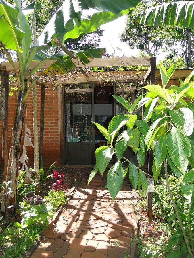 Yasi Yatere Reserva Agroecologica El Soberbio Exteriér fotografie